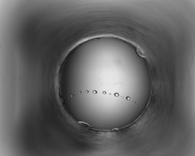 X0000090421526200707201109