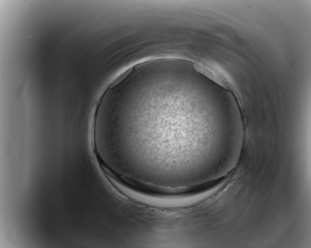 X0000090421528200707201109