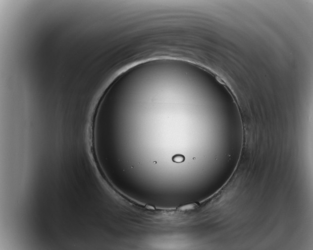 X0000090421531200707201109