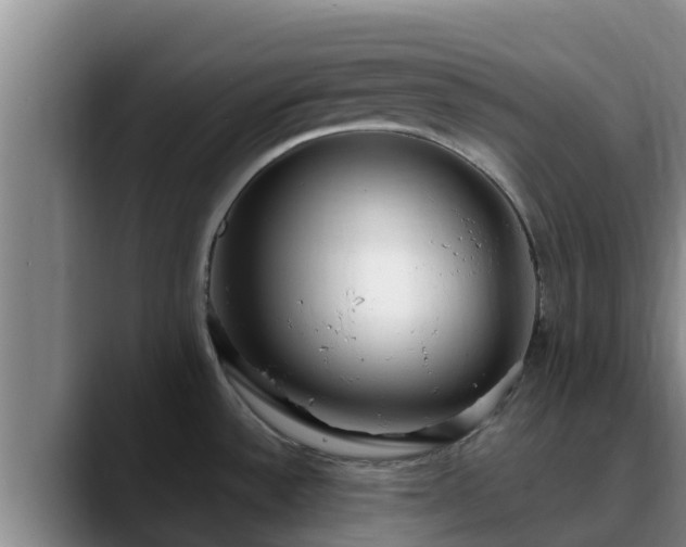 X0000090421532200707201109