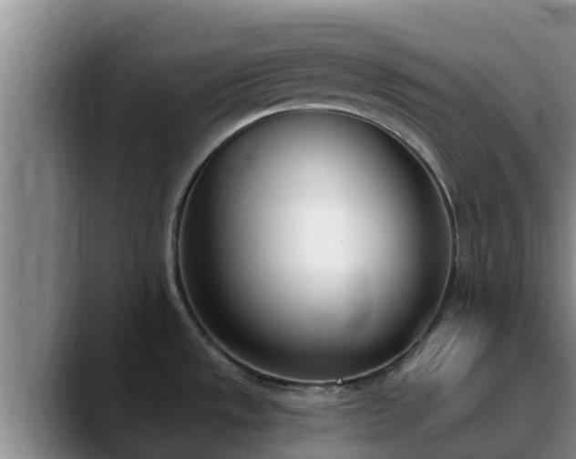 X0000090421533200707201109