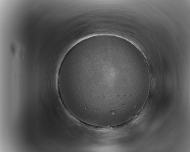 X0000090421535200707201109