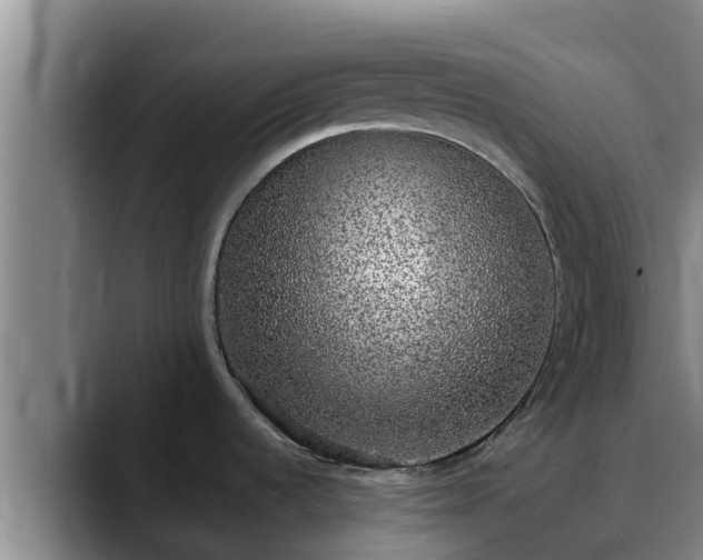 X0000090421536200707201109