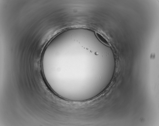 X0000090420002200707272120