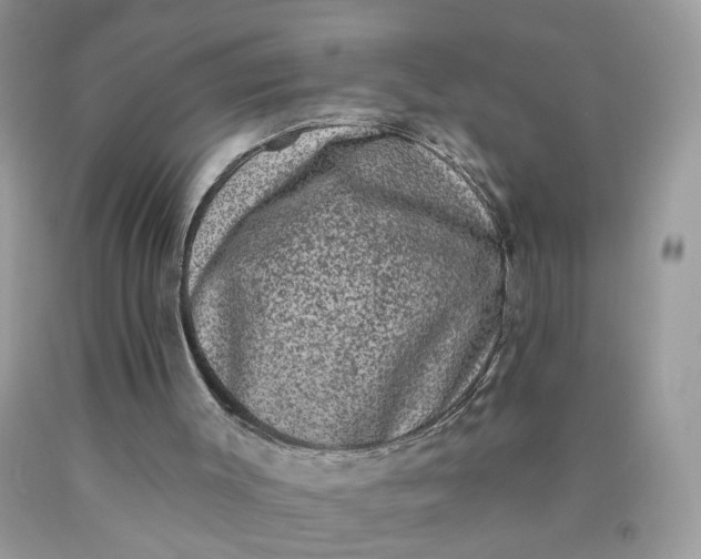 X0000090420003200707272120