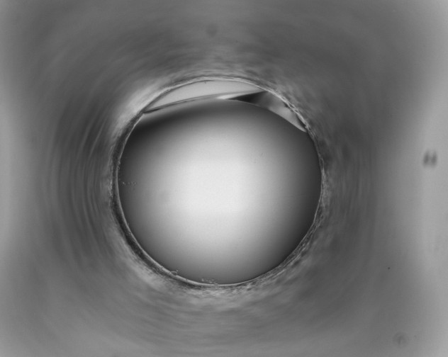 X0000090420005200707272120