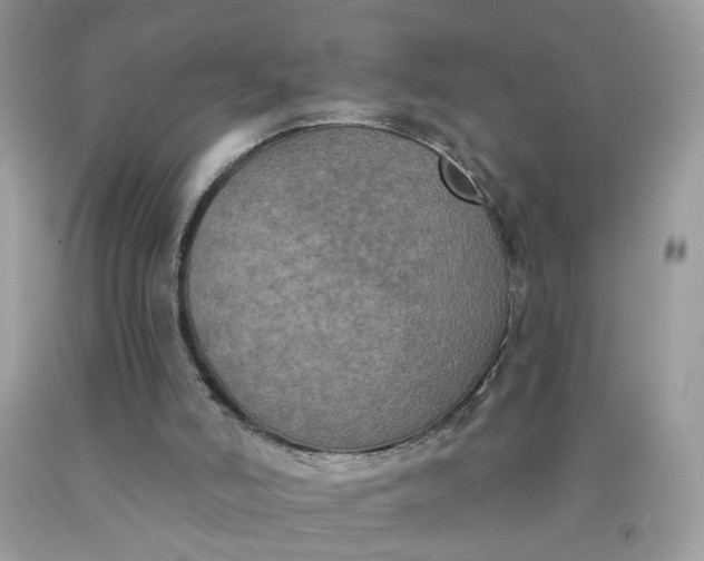 X0000090420006200707272120