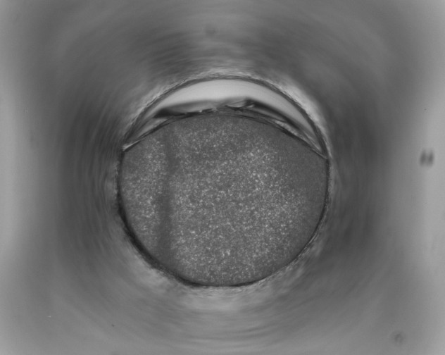 X0000090420009200707272120