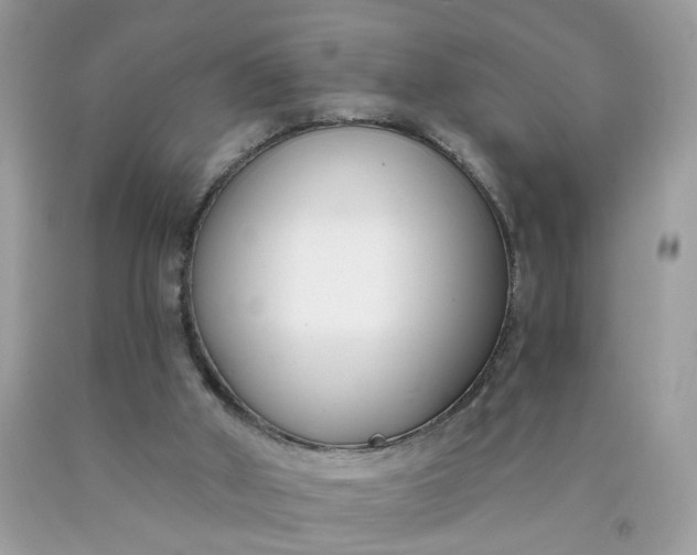 X0000090420010200707272120