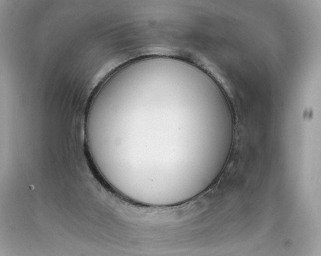 X0000090420011200707272120