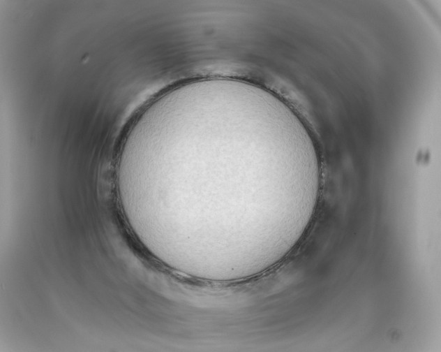 X0000090420012200707272120