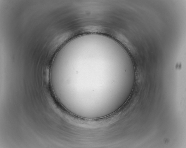 X0000090420014200707272120