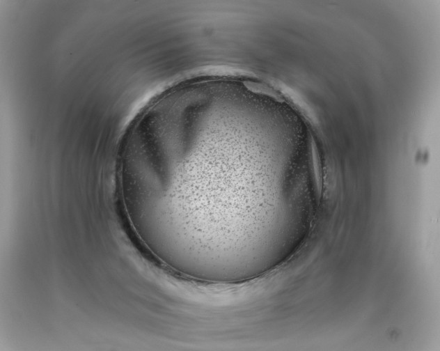 X0000090420015200707272120