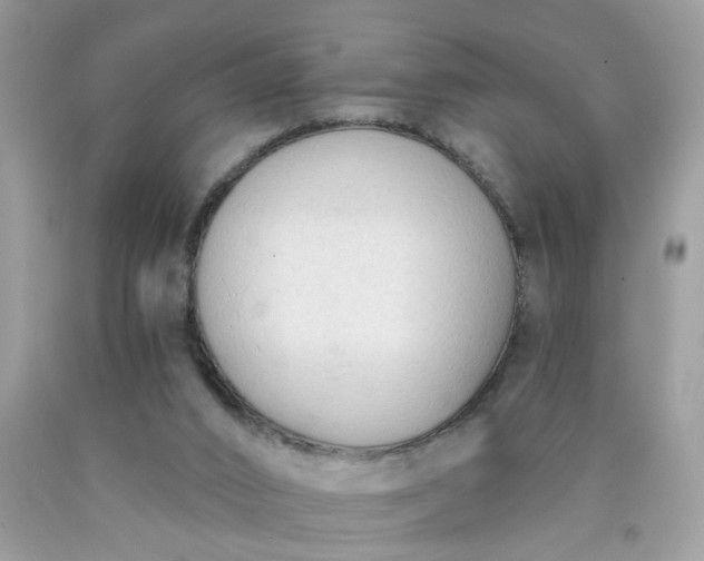 X0000090420016200707272120