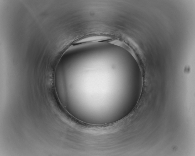 X0000090420017200707272120