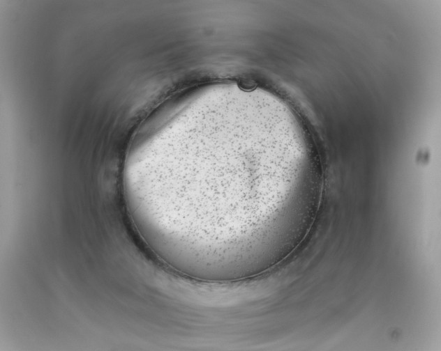 X0000090420018200707272120