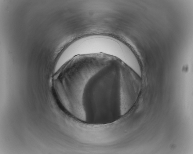 X0000090420019200707272120