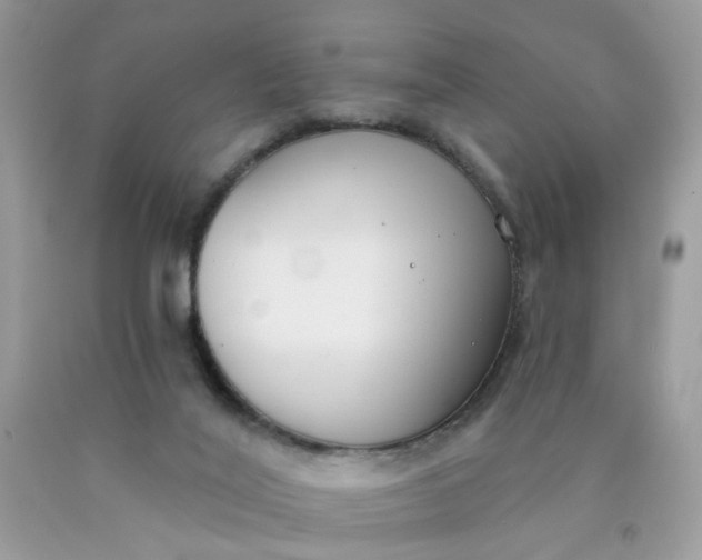 X0000090420020200707272120