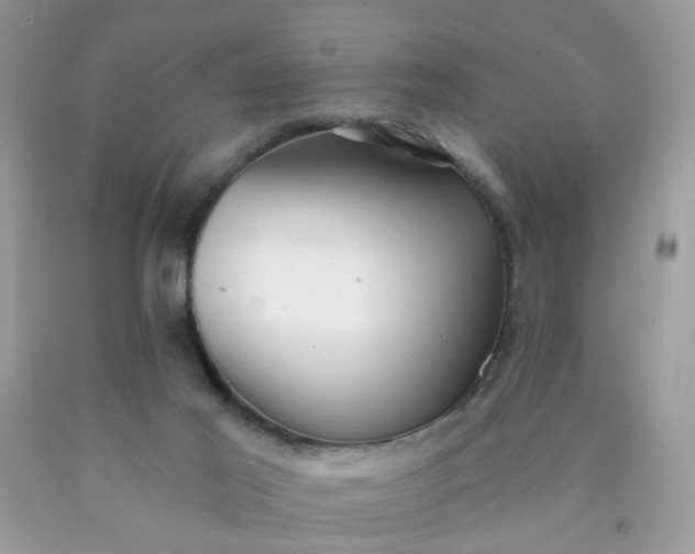 X0000090420021200707272120