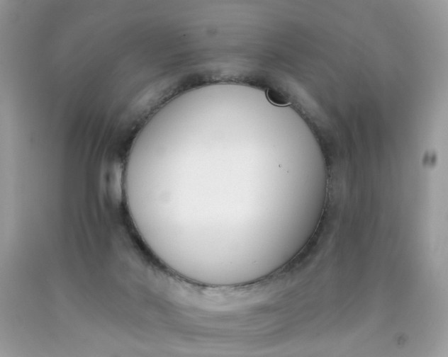 X0000090420022200707272120