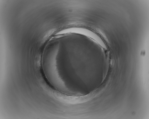 X0000090420023200707272120