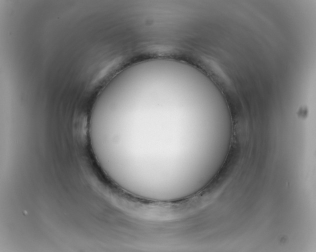 X0000090420024200707272120