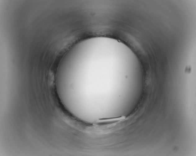 X0000090420025200707272120