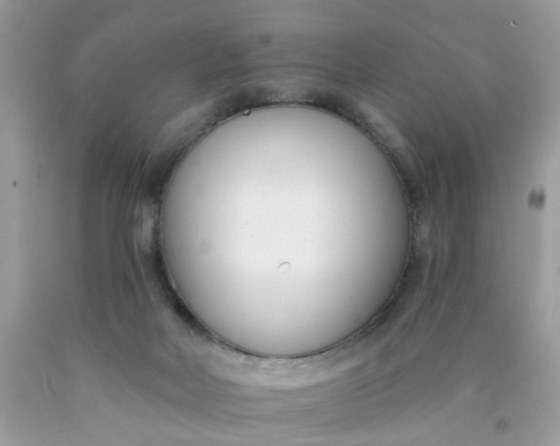 X0000090420026200707272120