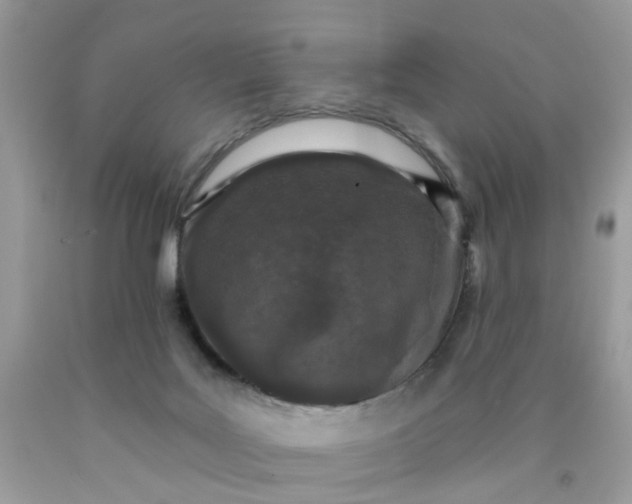 X0000090420027200707272120