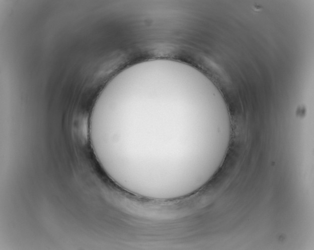 X0000090420028200707272120