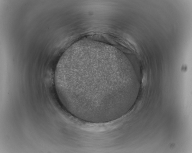 X0000090420029200707272120