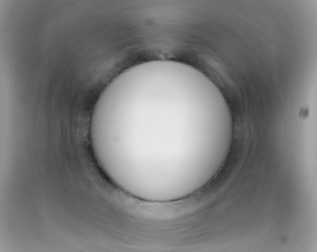 X0000090420030200707272120