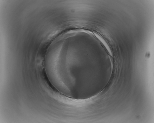 X0000090420031200707272120