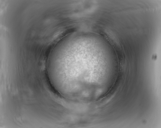 X0000090420032200707272120