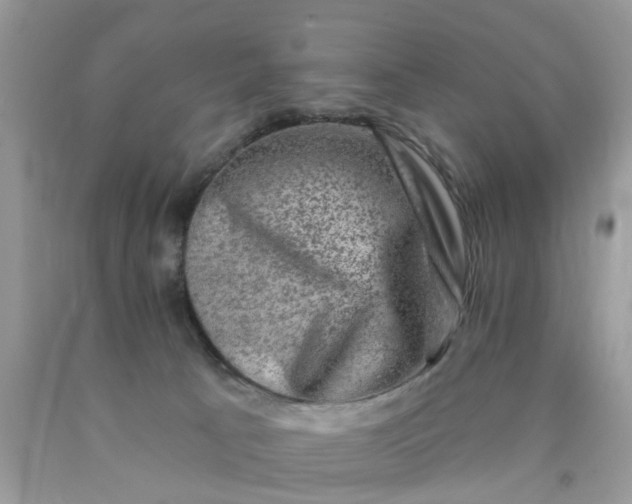 X0000090420033200707272120