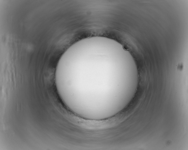 X0000090420034200707272120