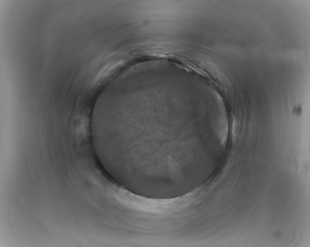 X0000090420035200707272120