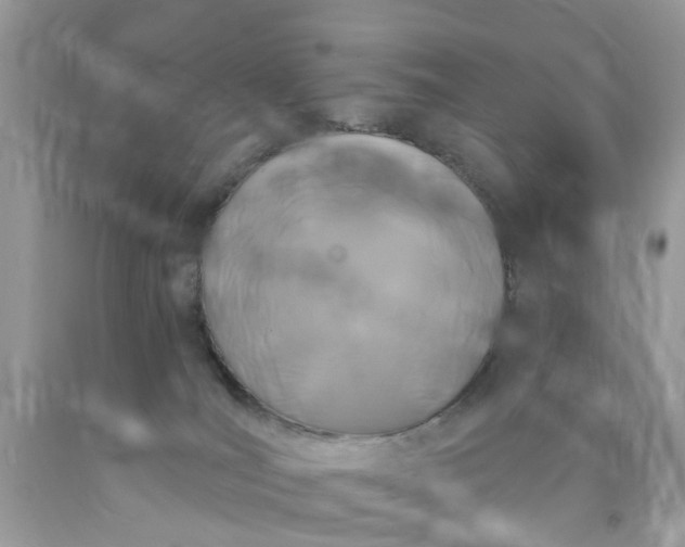 X0000090420036200707272120