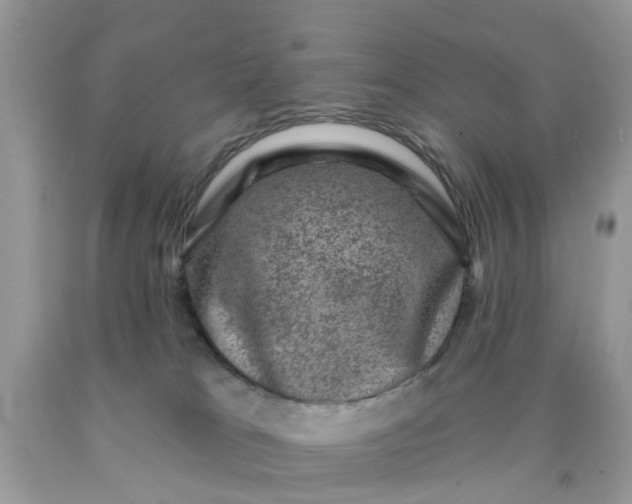 X0000090420037200707272119