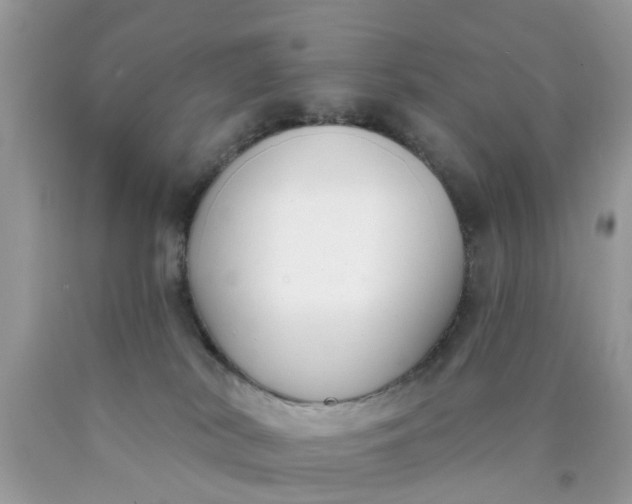 X0000090420038200707272119