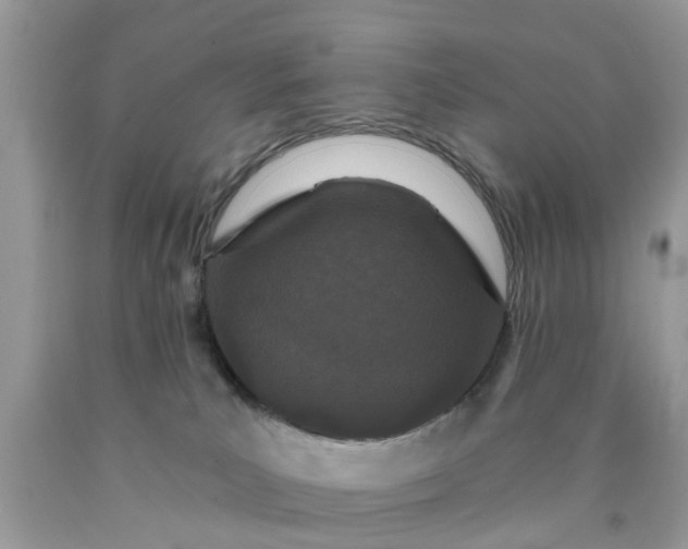 X0000090420039200707272119