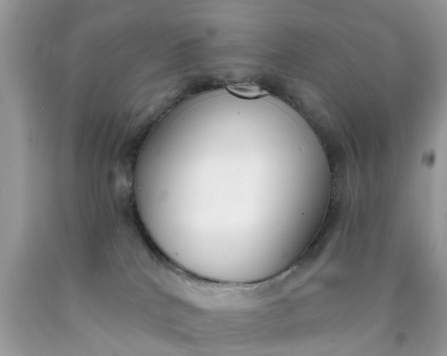 X0000090420040200707272119