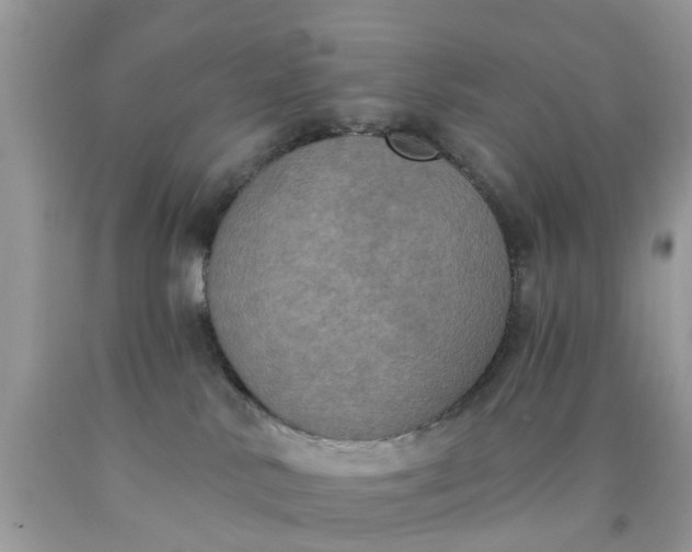 X0000090420042200707272119