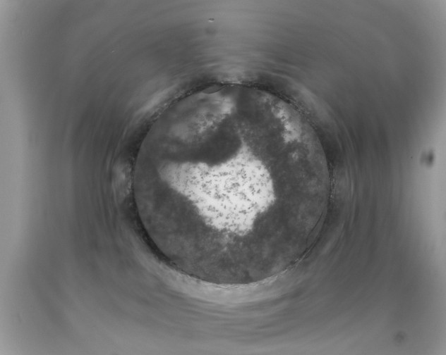 X0000090420043200707272119