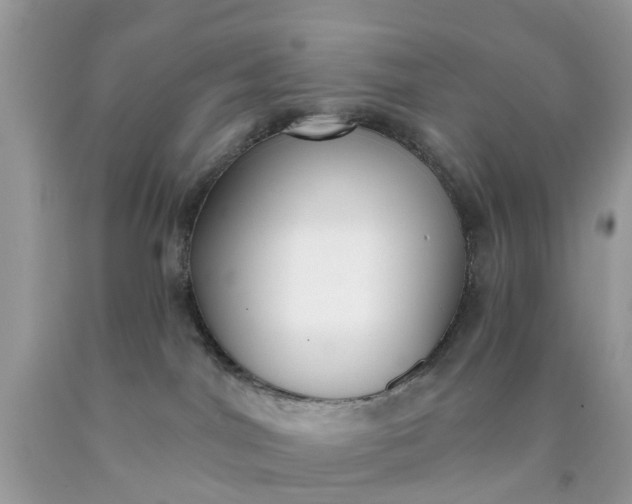 X0000090420044200707272119