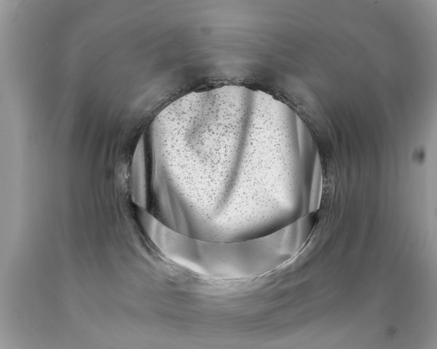 X0000090420045200707272119