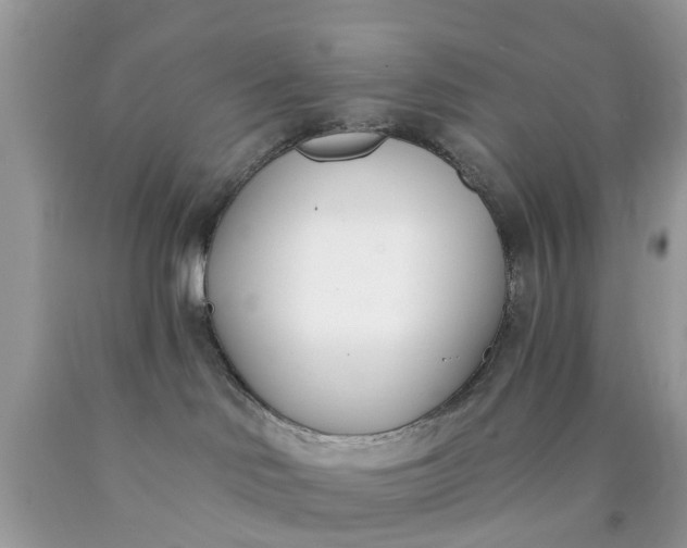 X0000090420046200707272119