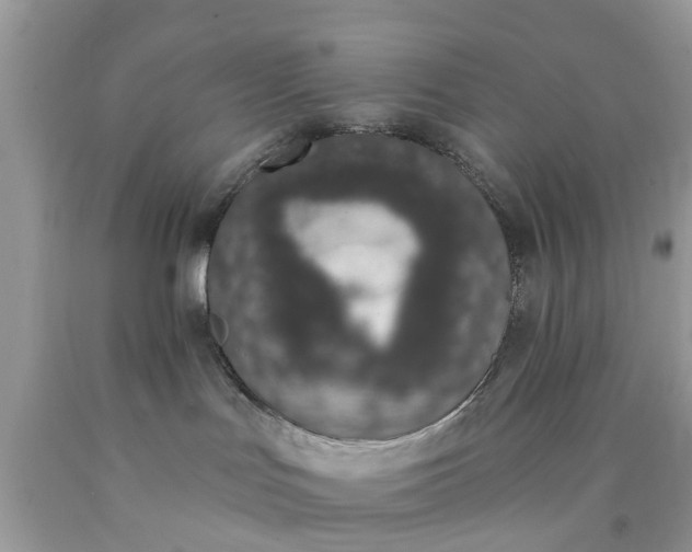 X0000090420047200707272119