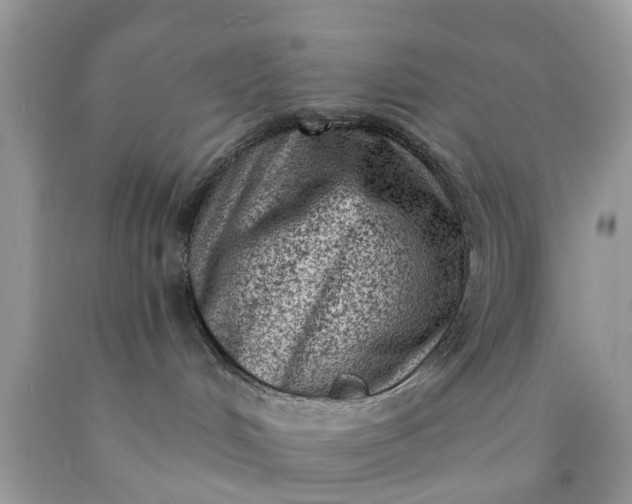 X0000090420048200707272119