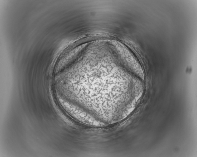 X0000090420049200707272119